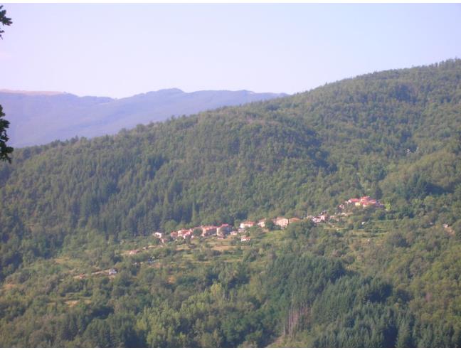 Anteprima foto 4 - Rustico/Casale in Vendita a Castel San Niccolò - Vertelli