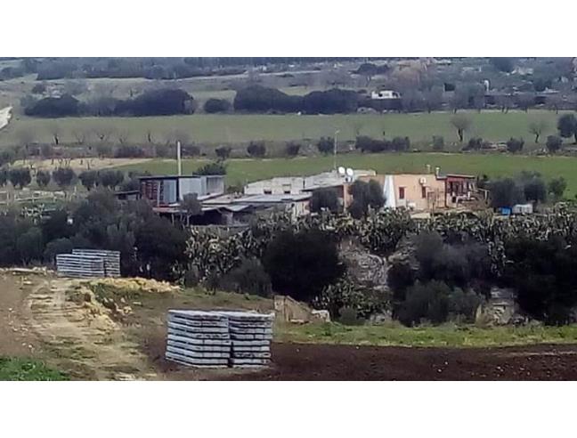 Anteprima foto 8 - Rustico/Casale in Vendita a Castellaneta (Taranto)