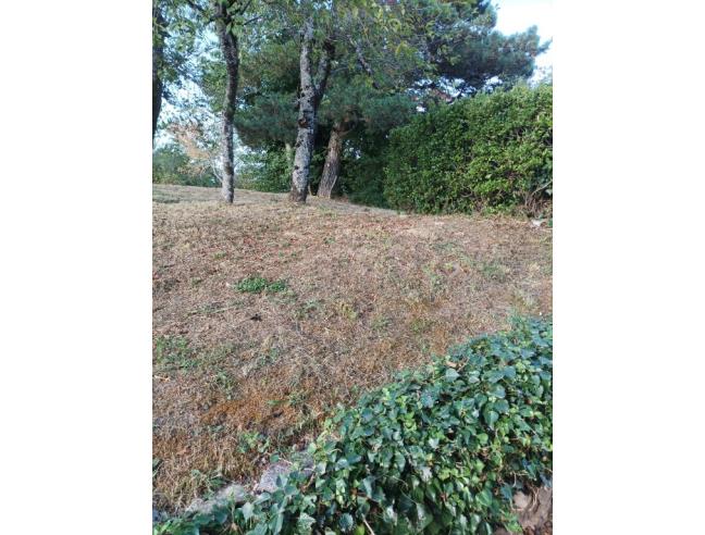 Anteprima foto 4 - Rustico/Casale in Vendita a Castelnuovo di Garfagnana - Croce