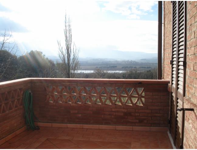 Anteprima foto 6 - Rustico/Casale in Vendita a Castiglione del Lago (Perugia)