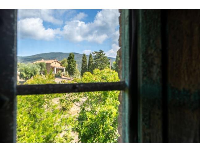 Anteprima foto 4 - Rustico/Casale in Vendita a Castiglione della Pescaia - Ampio