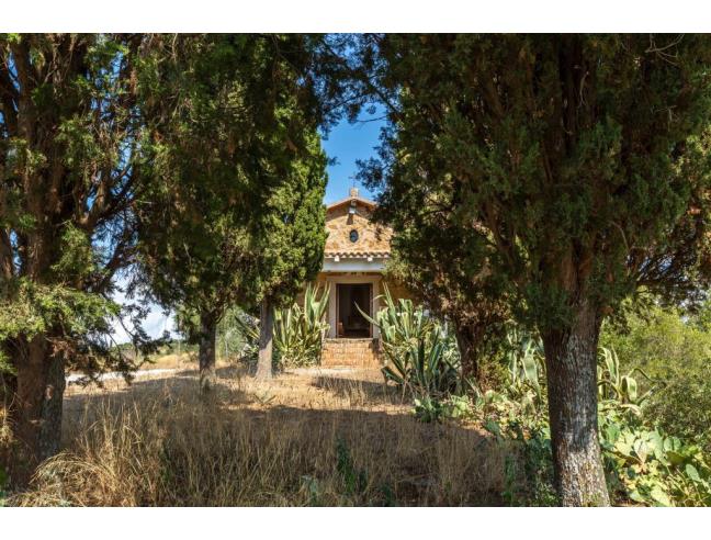 Anteprima foto 6 - Rustico/Casale in Vendita a Castiglione della Pescaia - Ampio