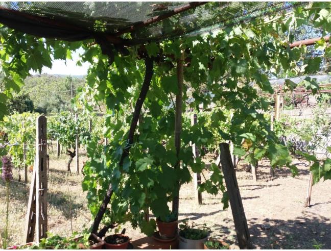 Anteprima foto 1 - Rustico/Casale in Vendita a Castiglione di Sicilia - Rovittello