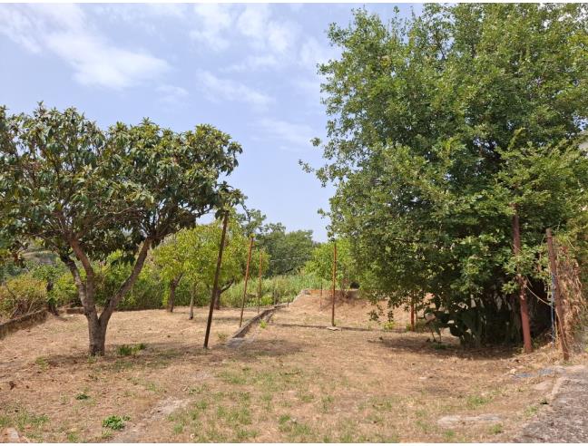 Anteprima foto 3 - Rustico/Casale in Vendita a Castrovillari - Vigne