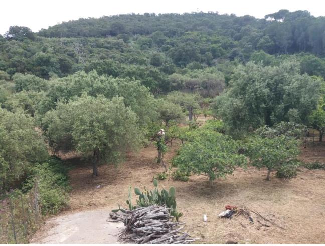 Anteprima foto 2 - Rustico/Casale in Vendita a Cefalù - Sant'Ambrogio