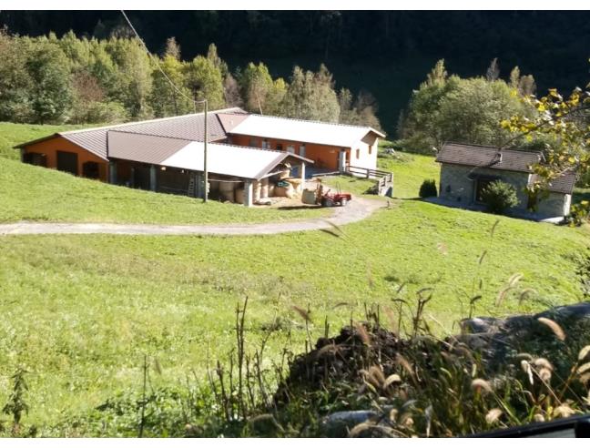 Anteprima foto 6 - Rustico/Casale in Vendita a Cevo (Brescia)