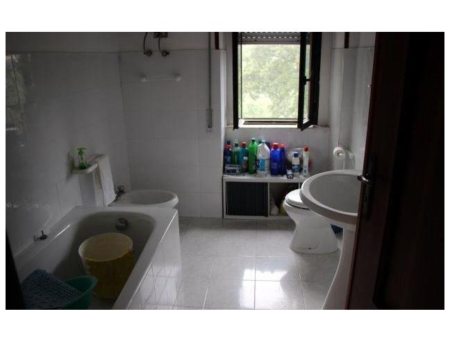 Anteprima foto 2 - Rustico/Casale in Vendita a Circello (Benevento)