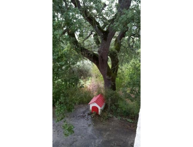 Anteprima foto 6 - Rustico/Casale in Vendita a Circello (Benevento)