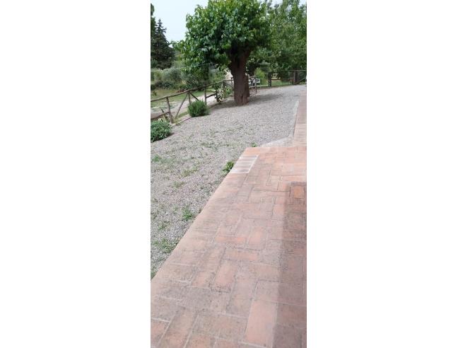 Anteprima foto 4 - Rustico/Casale in Vendita a Civitella Paganico - Casale Di Pari