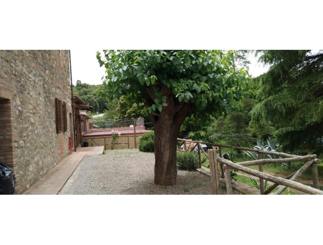 Anteprima foto 5 - Rustico/Casale in Vendita a Civitella Paganico - Casale Di Pari