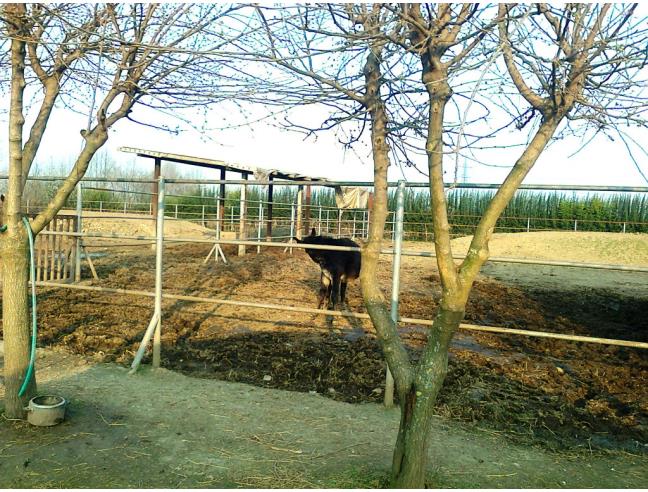 Anteprima foto 4 - Rustico/Casale in Vendita a Cologno al Serio - Muratella