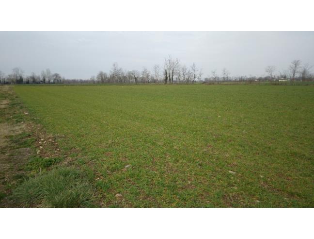 Anteprima foto 5 - Rustico/Casale in Vendita a Cologno al Serio - Muratella