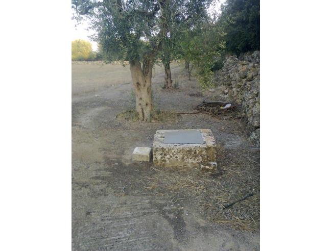 Anteprima foto 6 - Rustico/Casale in Vendita a Corigliano d'Otranto (Lecce)