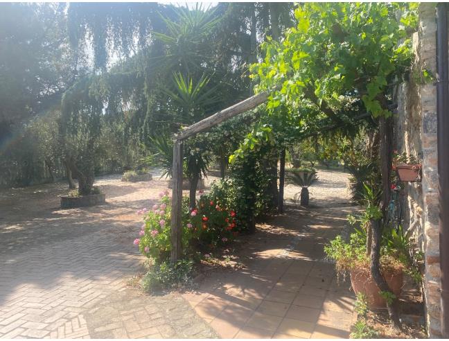 Anteprima foto 5 - Rustico/Casale in Vendita a Corigliano-Rossano - Piragineti