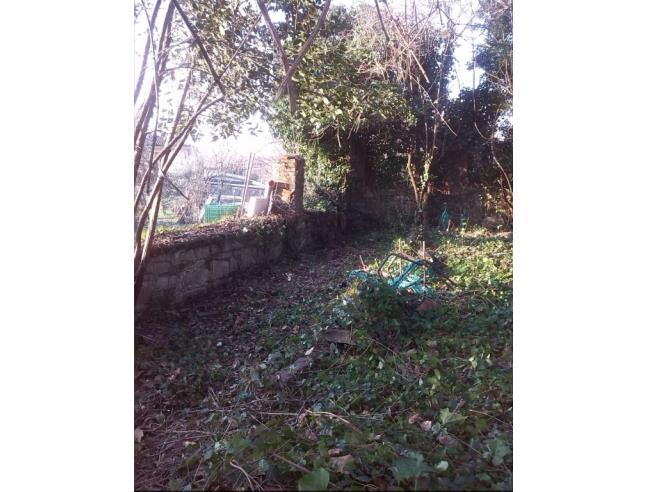 Anteprima foto 8 - Rustico/Casale in Vendita a Cormons (Gorizia)