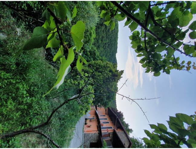 Anteprima foto 6 - Rustico/Casale in Vendita a Cortemilia (Cuneo)