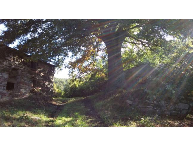 Anteprima foto 4 - Rustico/Casale in Vendita a Cortona - Poggioni
