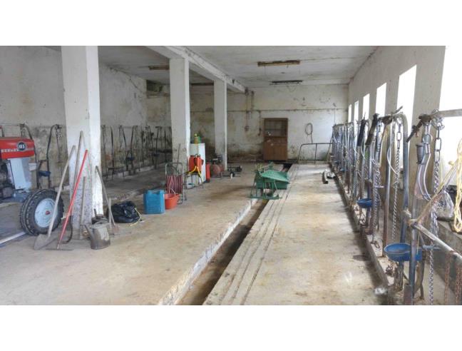 Anteprima foto 5 - Rustico/Casale in Vendita a Cuorgnè - Priacco