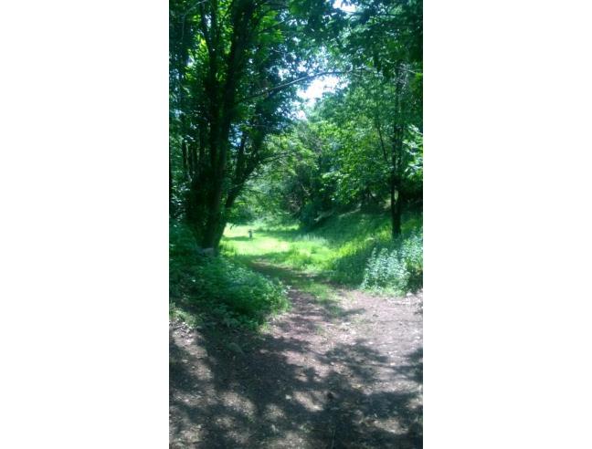 Anteprima foto 2 - Rustico/Casale in Vendita a Darfo Boario Terme (Brescia)