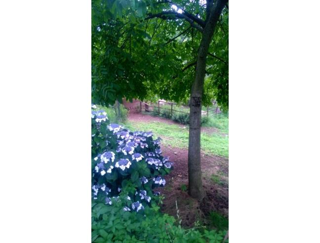 Anteprima foto 3 - Rustico/Casale in Vendita a Darfo Boario Terme (Brescia)