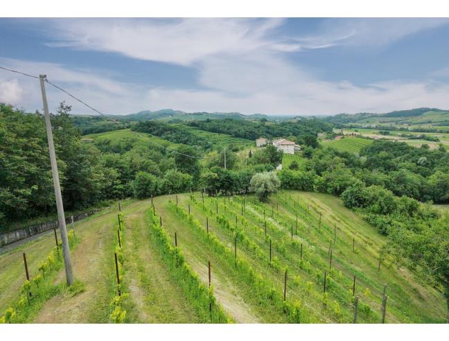 Anteprima foto 2 - Rustico/Casale in Vendita a Dolegna del Collio (Gorizia)