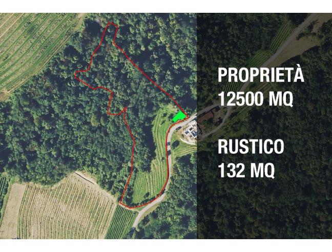 Anteprima foto 3 - Rustico/Casale in Vendita a Dolegna del Collio (Gorizia)