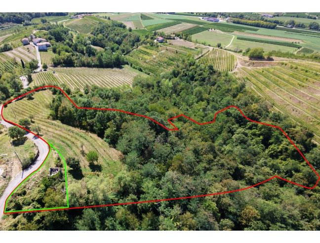 Anteprima foto 7 - Rustico/Casale in Vendita a Dolegna del Collio (Gorizia)