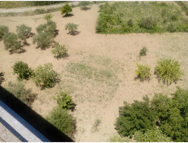 Anteprima foto 6 - Rustico/Casale in Vendita a Enna - Sant'Anna