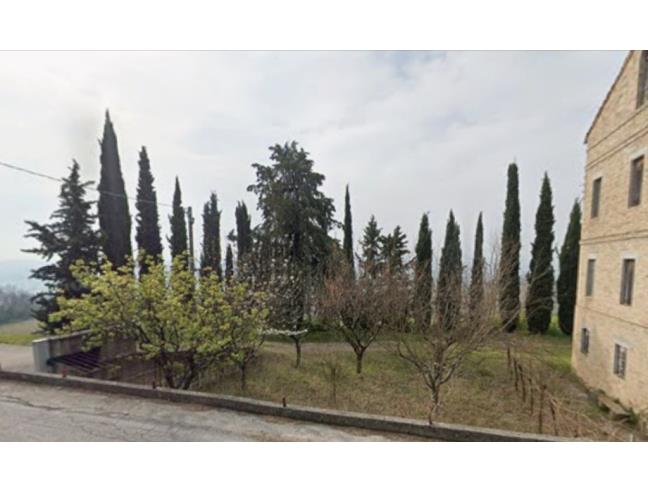 Anteprima foto 3 - Rustico/Casale in Vendita a Fermo (Fermo)