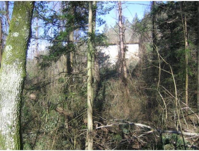 Anteprima foto 2 - Rustico/Casale in Vendita a Fiesole - Olmo