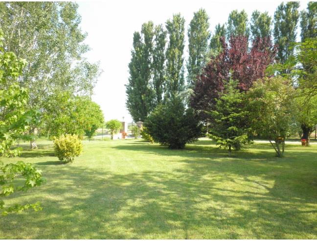 Anteprima foto 3 - Rustico/Casale in Vendita a Fiscaglia (Ferrara)