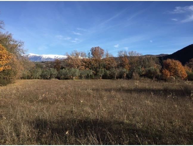 Anteprima foto 2 - Rustico/Casale in Vendita a Fontana Liri (Frosinone)
