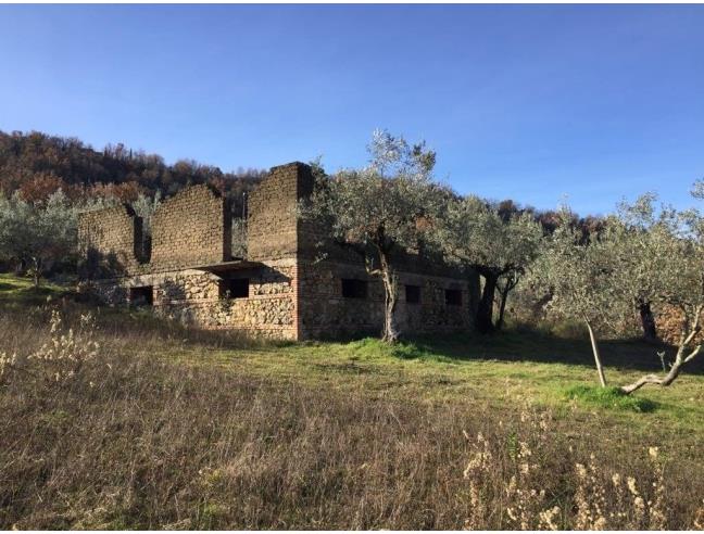 Anteprima foto 3 - Rustico/Casale in Vendita a Fontana Liri (Frosinone)