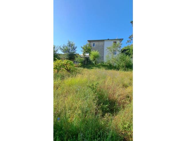 Anteprima foto 2 - Rustico/Casale in Vendita a Fontechiari - Colle Mastroianni