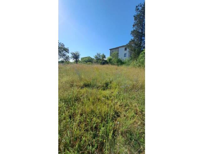 Anteprima foto 4 - Rustico/Casale in Vendita a Fontechiari - Colle Mastroianni