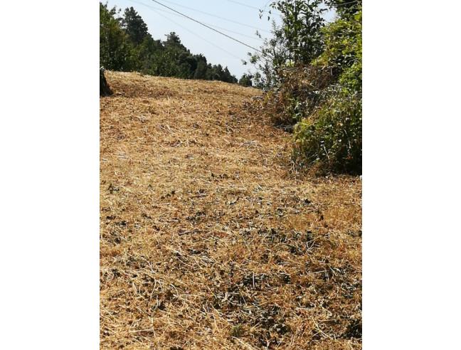 Anteprima foto 5 - Rustico/Casale in Vendita a Fosdinovo - Canepari