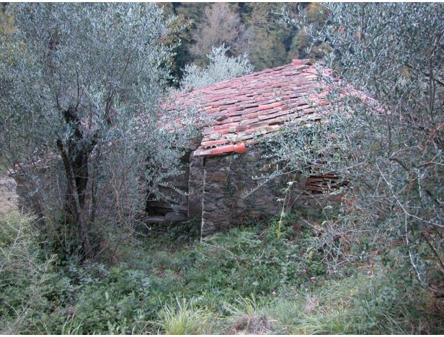 Anteprima foto 4 - Rustico/Casale in Vendita a Fosdinovo - Giucano