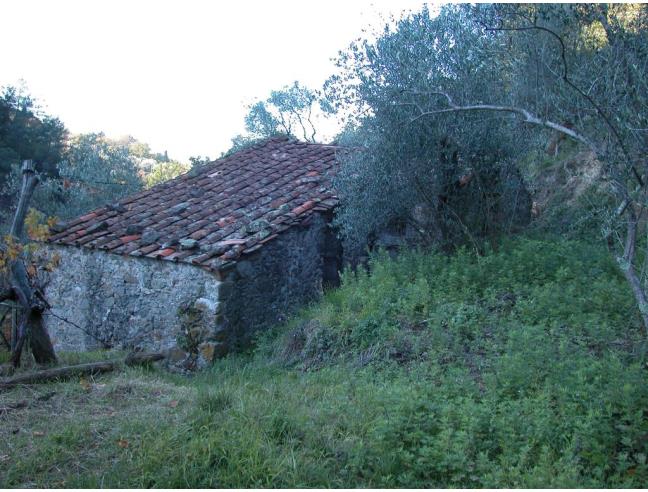 Anteprima foto 5 - Rustico/Casale in Vendita a Fosdinovo - Giucano