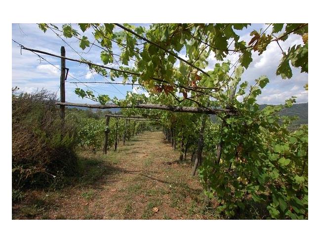 Anteprima foto 4 - Rustico/Casale in Vendita a Fosdinovo (Massa-Carrara)