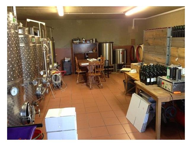 Anteprima foto 7 - Rustico/Casale in Vendita a Fosdinovo (Massa-Carrara)