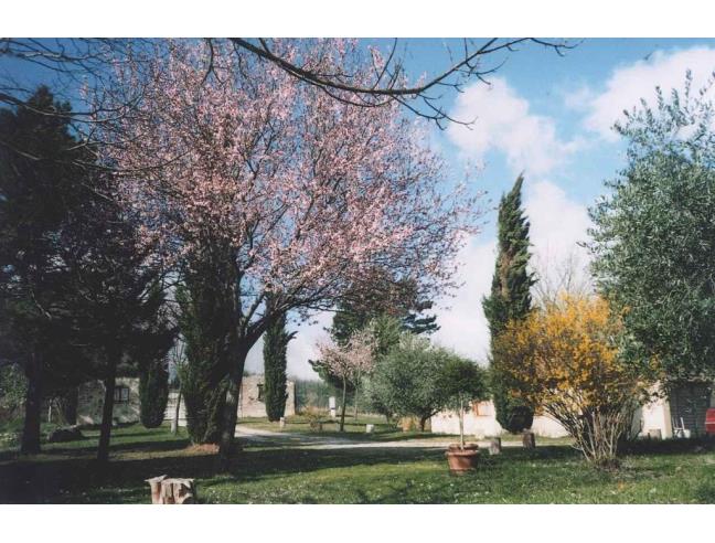 Anteprima foto 6 - Rustico/Casale in Vendita a Fossato di Vico (Perugia)