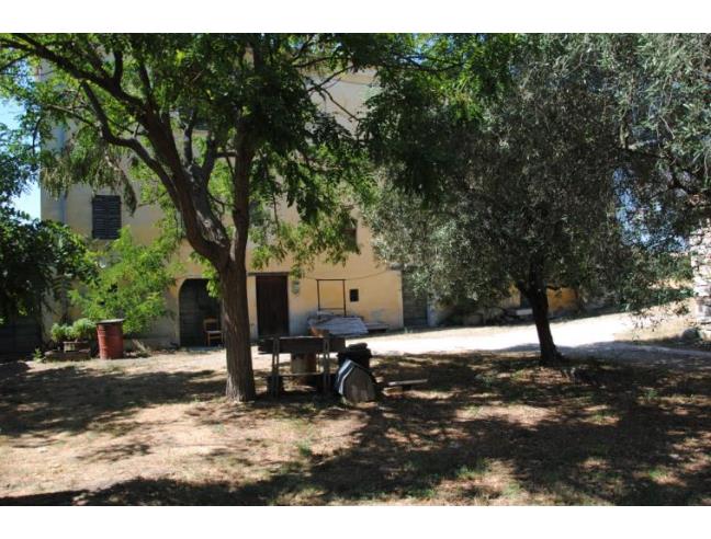 Anteprima foto 3 - Rustico/Casale in Vendita a Fossombrone - Località San Martino Del Piano