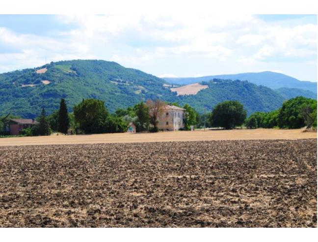 Anteprima foto 7 - Rustico/Casale in Vendita a Fossombrone - Località San Martino Del Piano