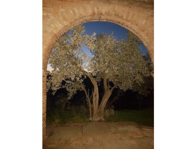 Anteprima foto 7 - Rustico/Casale in Vendita a Fragneto Monforte (Benevento)