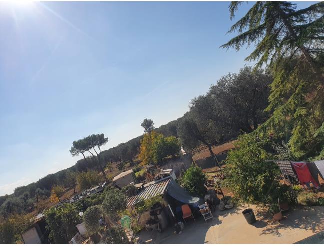 Anteprima foto 5 - Rustico/Casale in Vendita a Francavilla Fontana (Brindisi)
