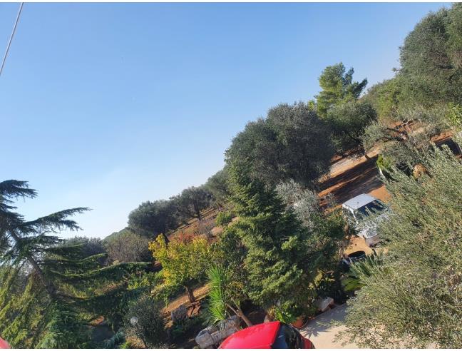 Anteprima foto 6 - Rustico/Casale in Vendita a Francavilla Fontana (Brindisi)