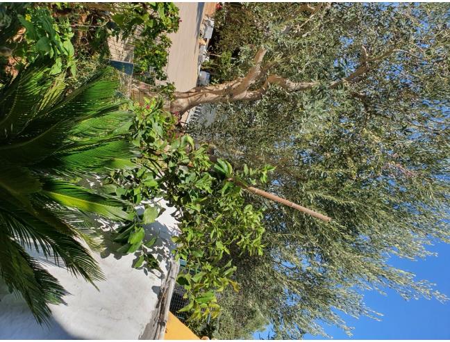 Anteprima foto 7 - Rustico/Casale in Vendita a Francavilla Fontana (Brindisi)
