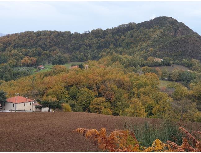 Anteprima foto 1 - Rustico/Casale in Vendita a Francavilla in Sinni (Potenza)
