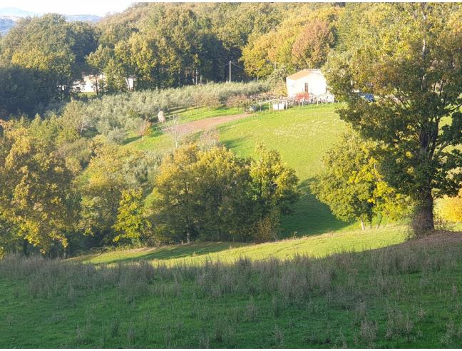 Anteprima foto 3 - Rustico/Casale in Vendita a Francavilla in Sinni (Potenza)