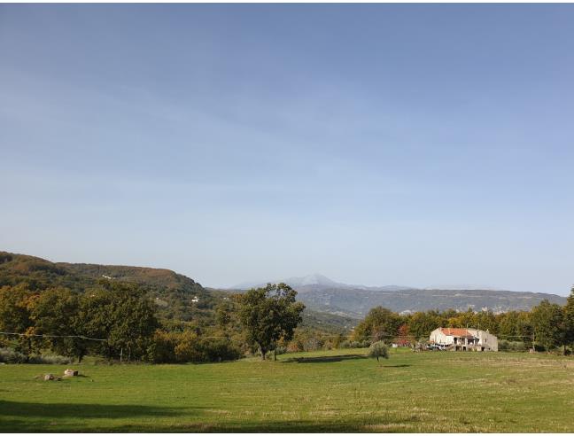 Anteprima foto 6 - Rustico/Casale in Vendita a Francavilla in Sinni (Potenza)
